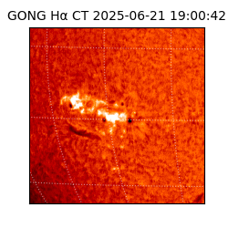 gong - 2025-06-21T19:00:42