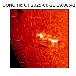 gong - 2025-06-21T19:00:42