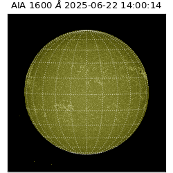 saia - 2025-06-22T14:00:14.126000