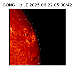 gong - 2025-06-22T05:00:42