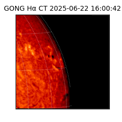 gong - 2025-06-22T16:00:42