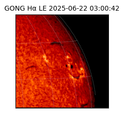 gong - 2025-06-22T03:00:42