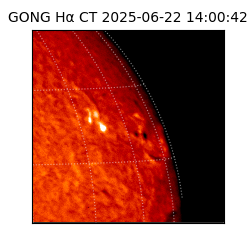 gong - 2025-06-22T14:00:42