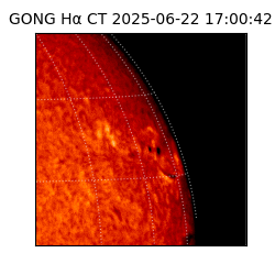 gong - 2025-06-22T17:00:42