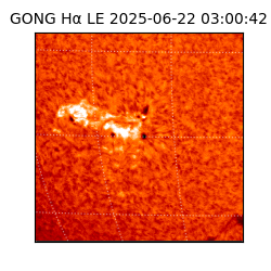 gong - 2025-06-22T03:00:42