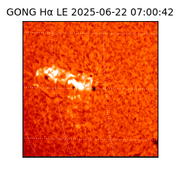 gong - 2025-06-22T07:00:42