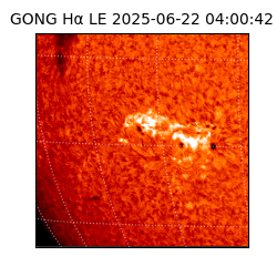 gong - 2025-06-22T04:00:42