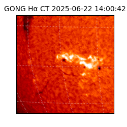 gong - 2025-06-22T14:00:42