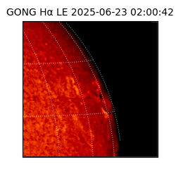 gong - 2025-06-23T02:00:42