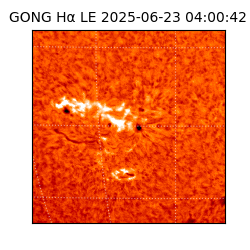 gong - 2025-06-23T04:00:42