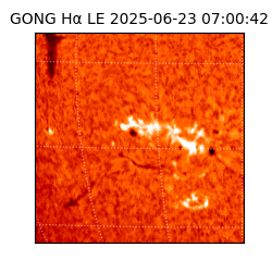 gong - 2025-06-23T07:00:42