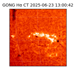 gong - 2025-06-23T13:00:42