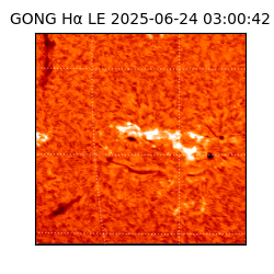 gong - 2025-06-24T03:00:42