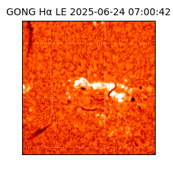 gong - 2025-06-24T07:00:42