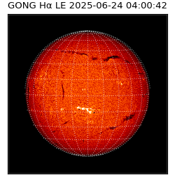 gong - 2025-06-24T04:00:42