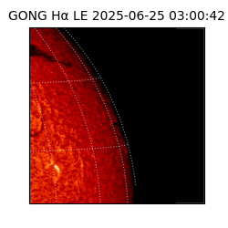 gong - 2025-06-25T03:00:42