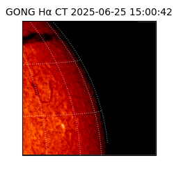 gong - 2025-06-25T15:00:42