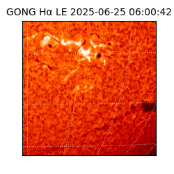 gong - 2025-06-25T06:00:42
