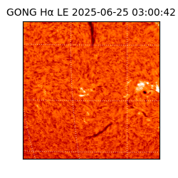 gong - 2025-06-25T03:00:42
