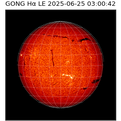 gong - 2025-06-25T03:00:42