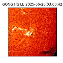 gong - 2025-06-26T03:00:42