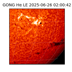 gong - 2025-06-26T02:00:42