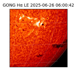 gong - 2025-06-26T06:00:42