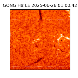 gong - 2025-06-26T01:00:42