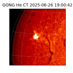 gong - 2025-06-26T19:00:42