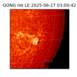 gong - 2025-06-27T03:00:42