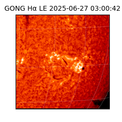 gong - 2025-06-27T03:00:42