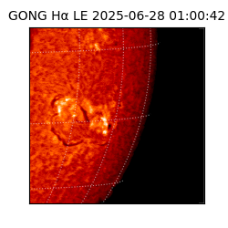 gong - 2025-06-28T01:00:42