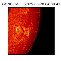 gong - 2025-06-28T04:00:42