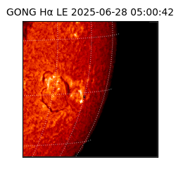 gong - 2025-06-28T05:00:42
