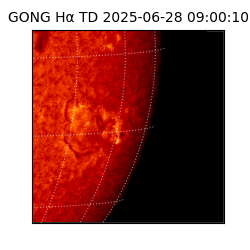 gong - 2025-06-28T09:00:10