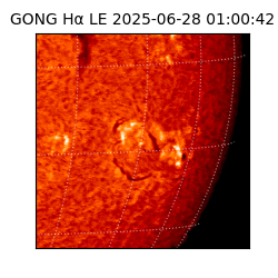 gong - 2025-06-28T01:00:42