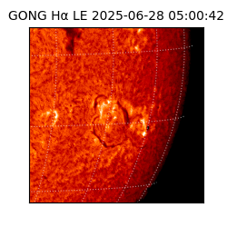gong - 2025-06-28T05:00:42