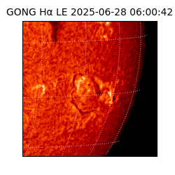 gong - 2025-06-28T06:00:42