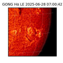 gong - 2025-06-28T07:00:42