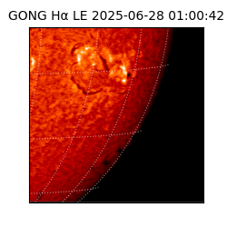gong - 2025-06-28T01:00:42