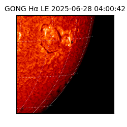 gong - 2025-06-28T04:00:42