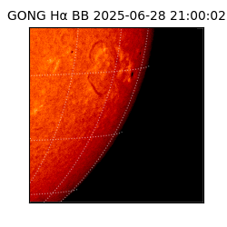 gong - 2025-06-28T21:00:02
