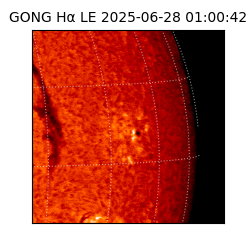 gong - 2025-06-28T01:00:42