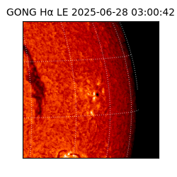 gong - 2025-06-28T03:00:42