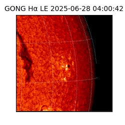 gong - 2025-06-28T04:00:42