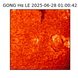 gong - 2025-06-28T01:00:42