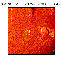gong - 2025-06-28T05:00:42