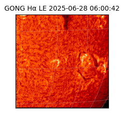 gong - 2025-06-28T06:00:42