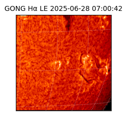 gong - 2025-06-28T07:00:42