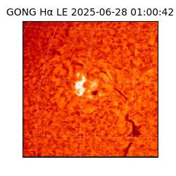 gong - 2025-06-28T01:00:42